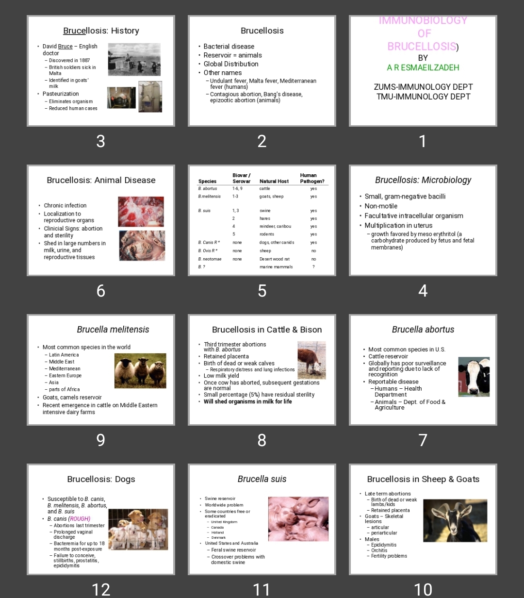 پاورپوینت بروسلوز IMMUNOBIOLOGY OF BRUCELLOSIS