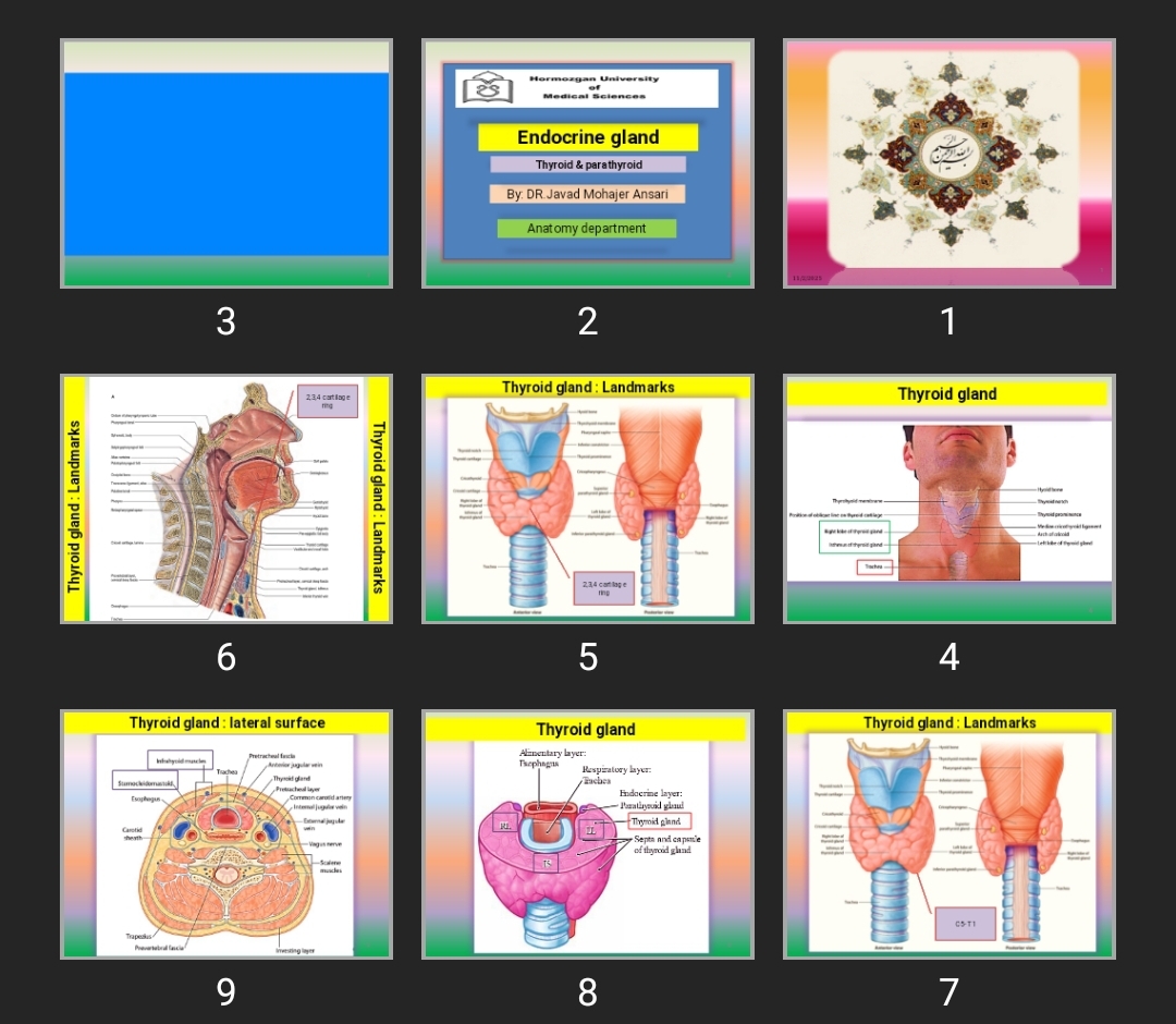پاورپوینت Endocrine gland Thyroid & parathyroid