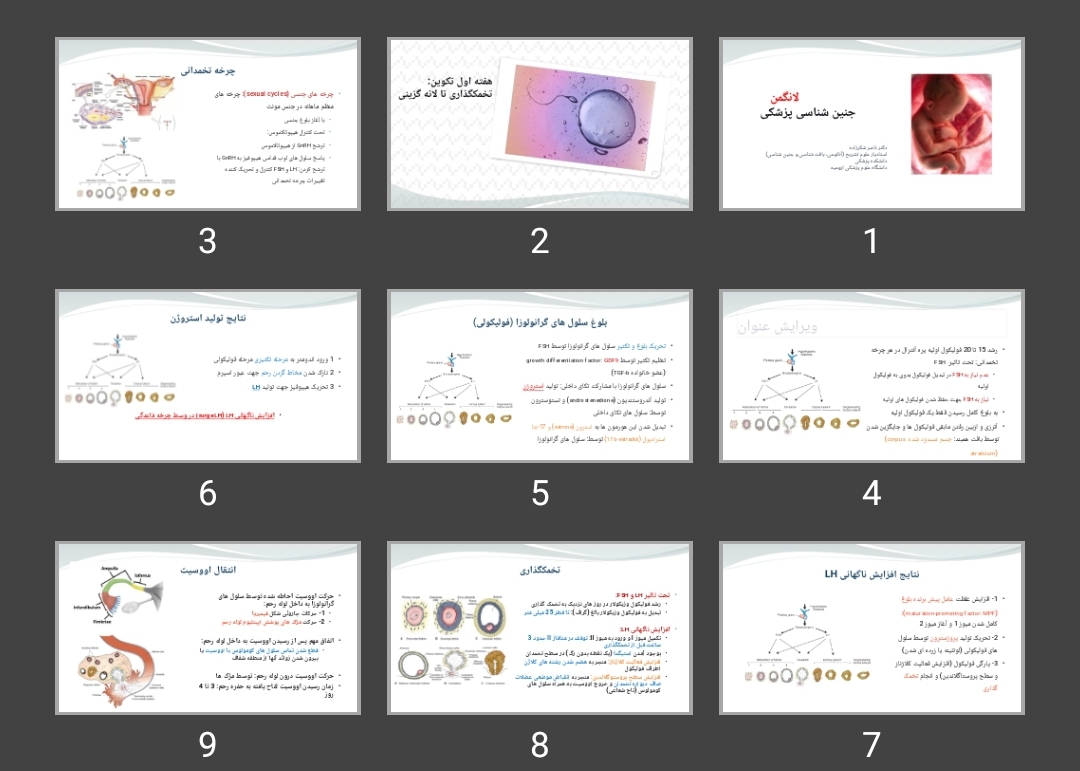 پاورپوینت هفته اول تکوین تخمک گذاری تا لانه گزینی
