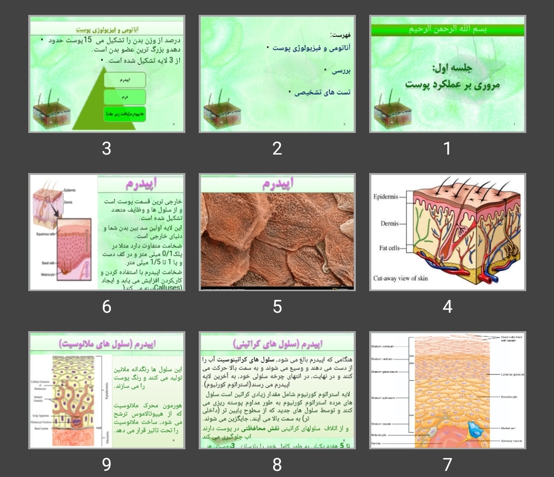 پاورپوینت مروری بر عملکرد پوست