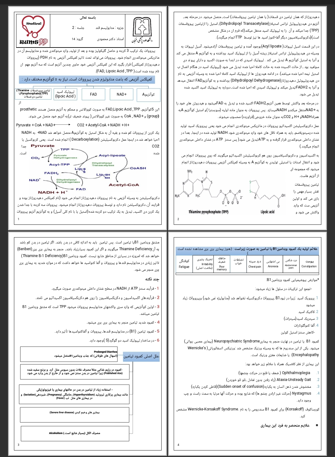 جزوه متابولیسم قند ها ۲