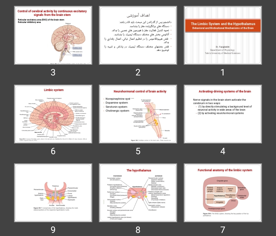 پاورپوینت The Limbic System and the Hypothalamus Behavioral and Motivational Mechanisms of the Brain