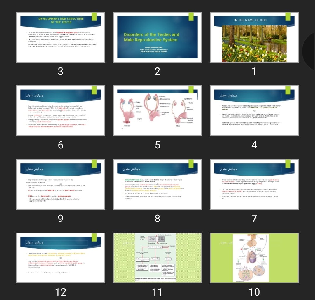 پاورپوینت Disorders of the Testes and Male Reproductive System