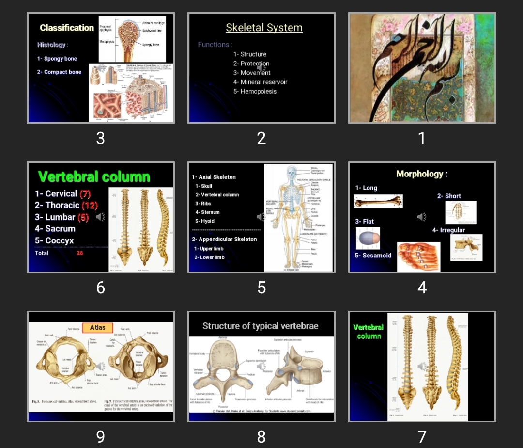 پاورپوینت Chest wall (Bones & cartilages & Joints)