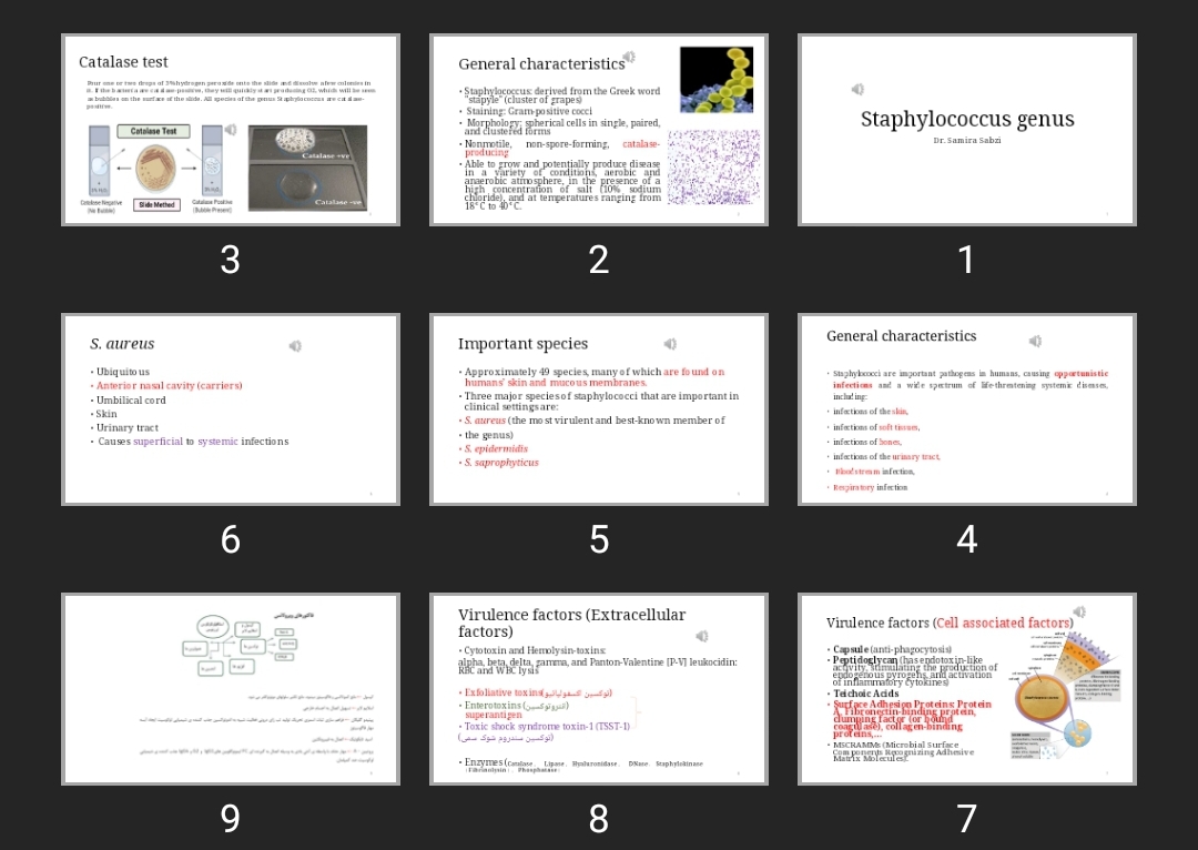 پاورپوینت Staphylococcus genus