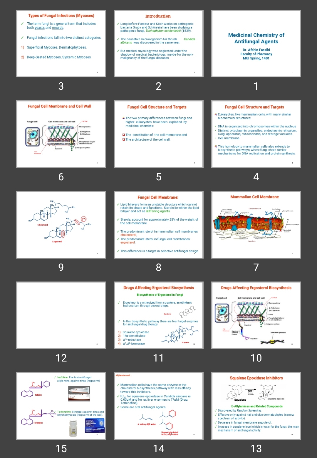 پاورپوینت Medicinal Chemistry of Antifungal Agents