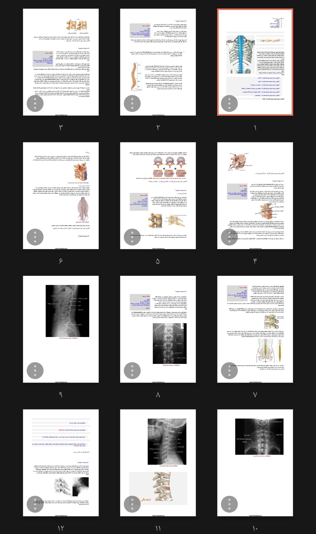 جزوه آناتومی ستون مهره ها