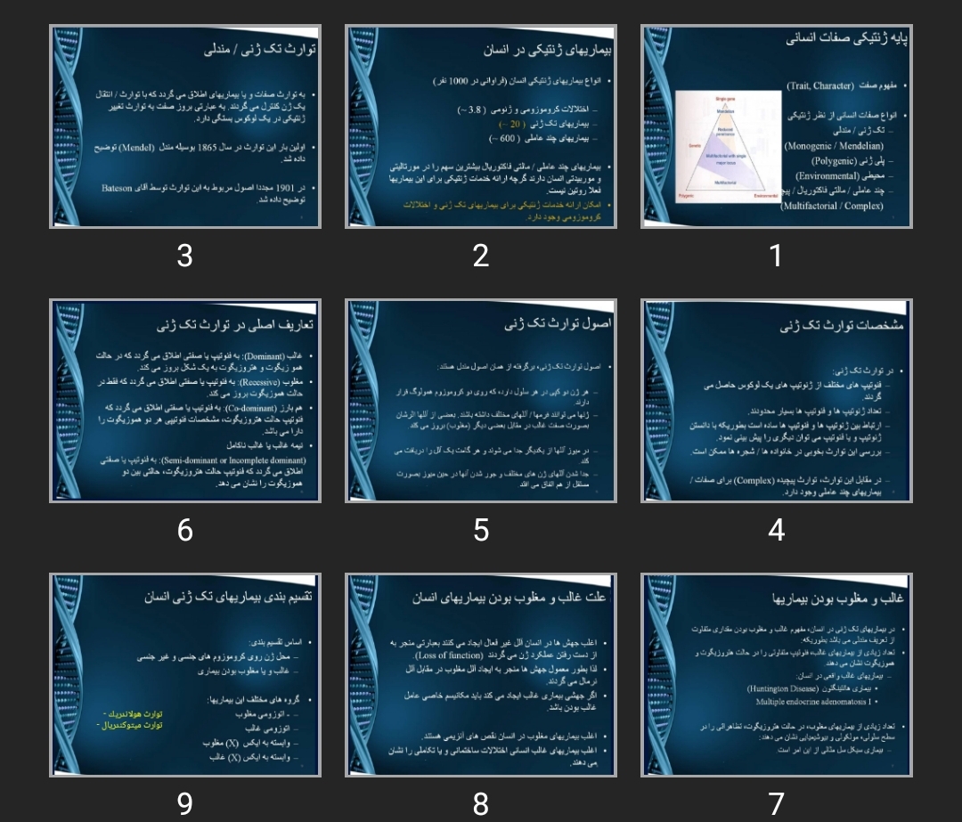 پاورپوینت پایه ژنتیکی صفات انسانی