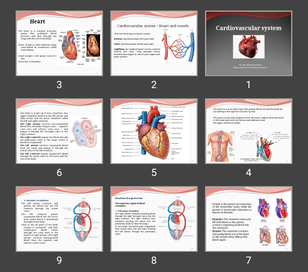 پاورپوینت Cardiovascular system