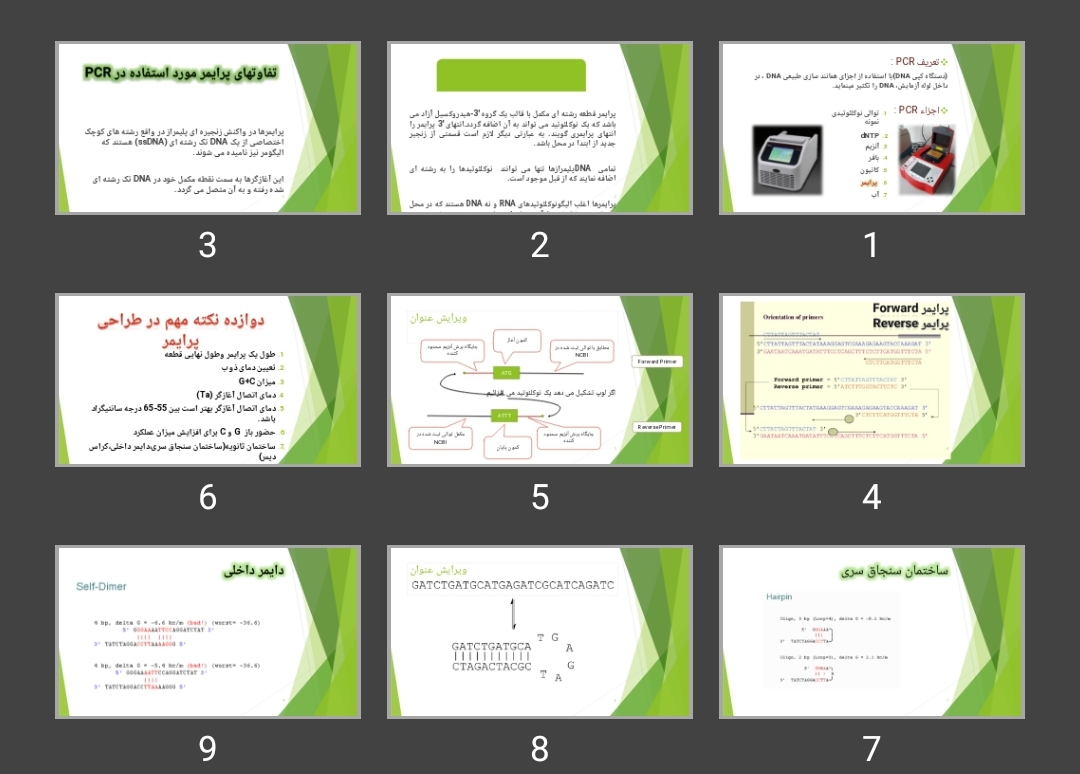 پاورپوینت اصول طراحی پرایمر