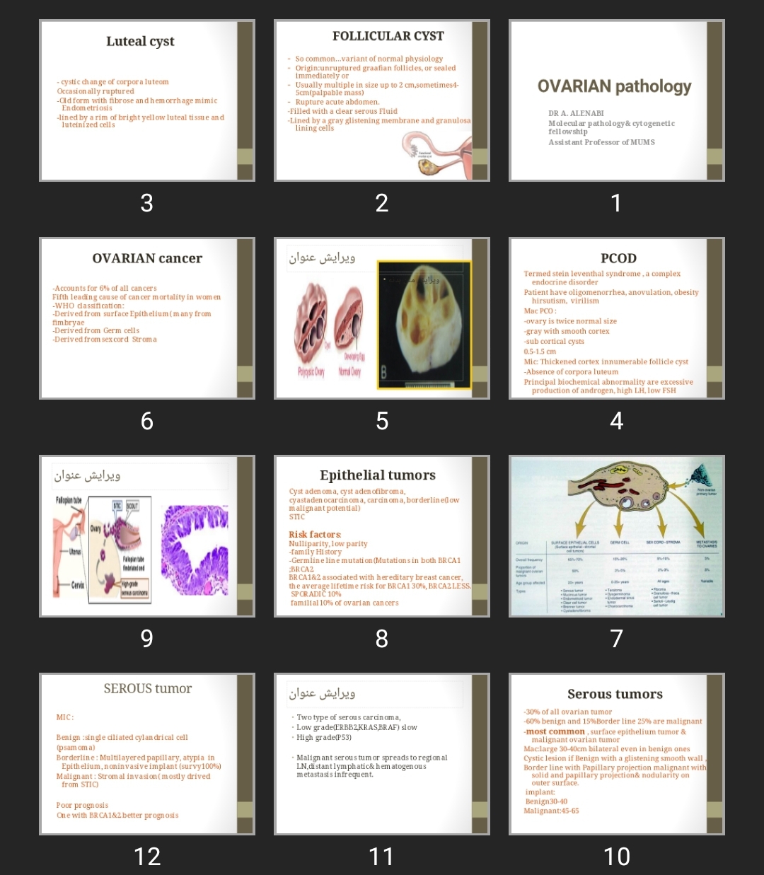 پاورپوینت OVARIAN pathology