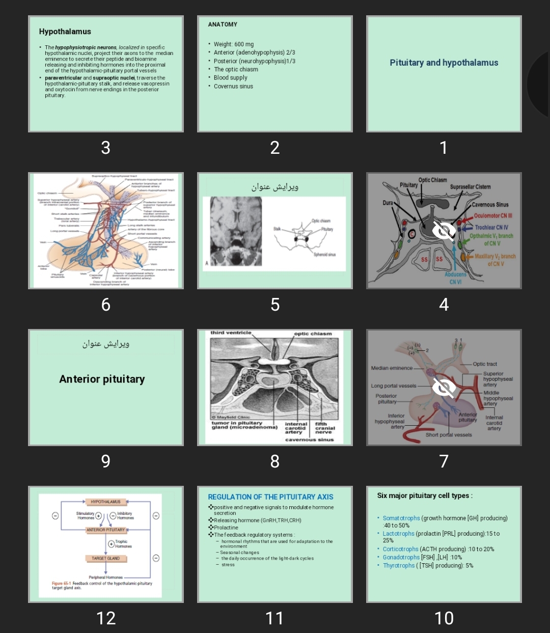 پاورپوینت Pituitary and hypothalamus