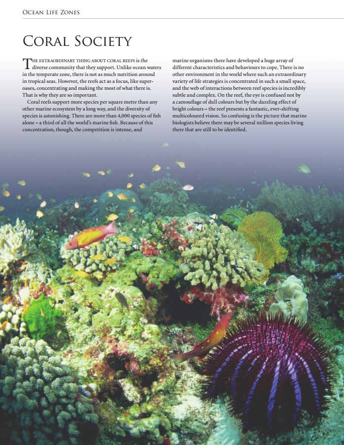 اطلس اقیانوس ها: یک دنیای مخفی شگفت انگیز (دیجیتال انگلیسی)