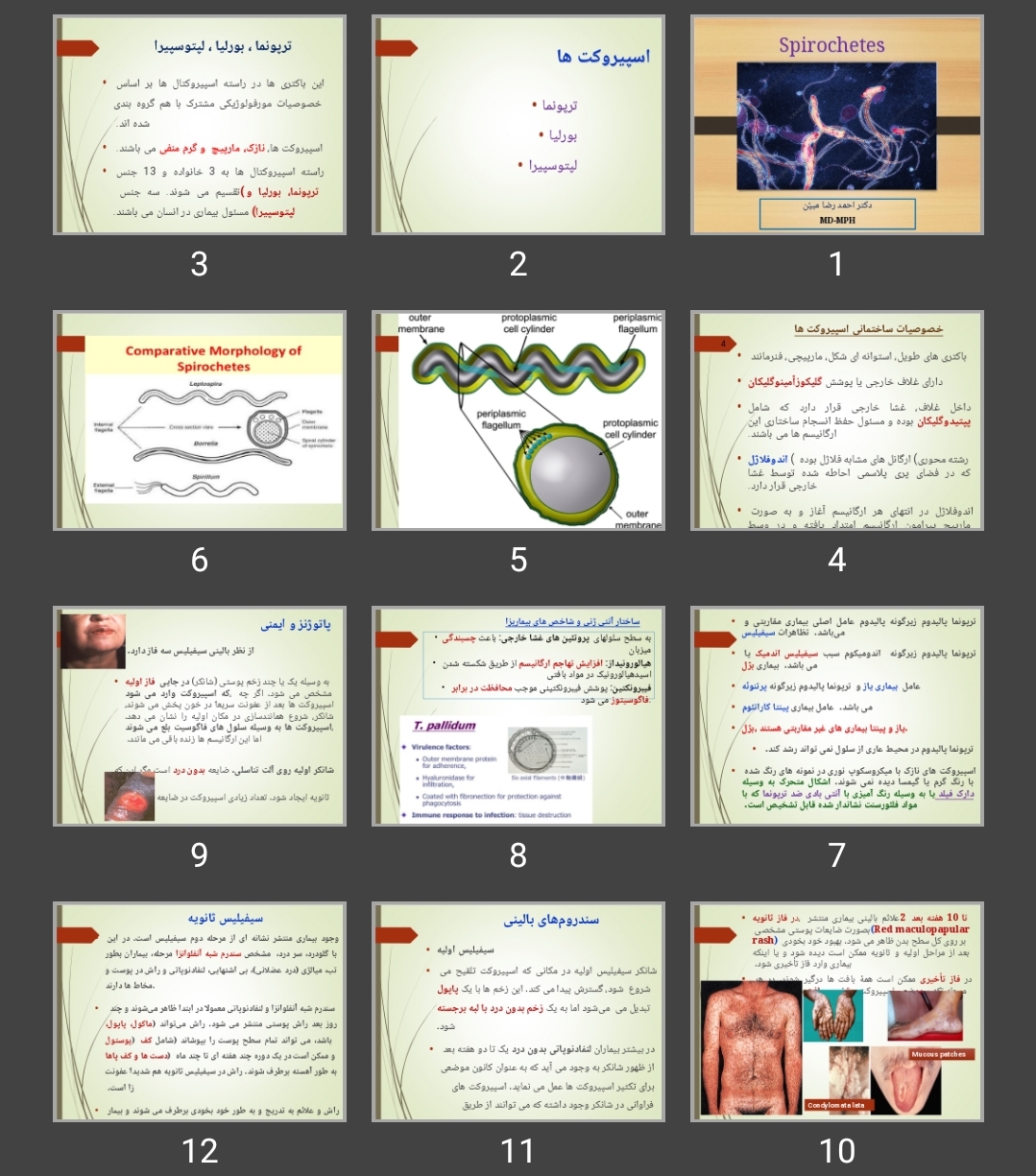 پاورپوینت اسپیروکت ها Spirochetes