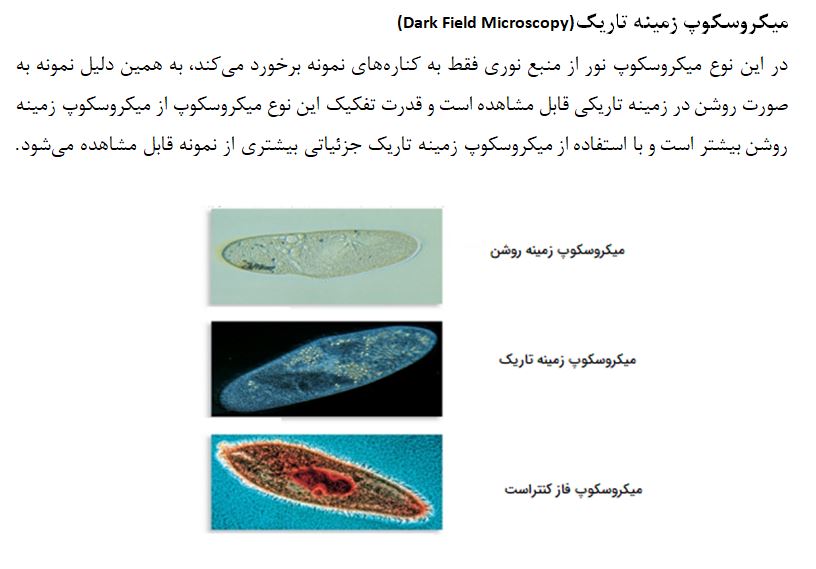 دانلود تحقیق میکروسکوپ WORD + PDF