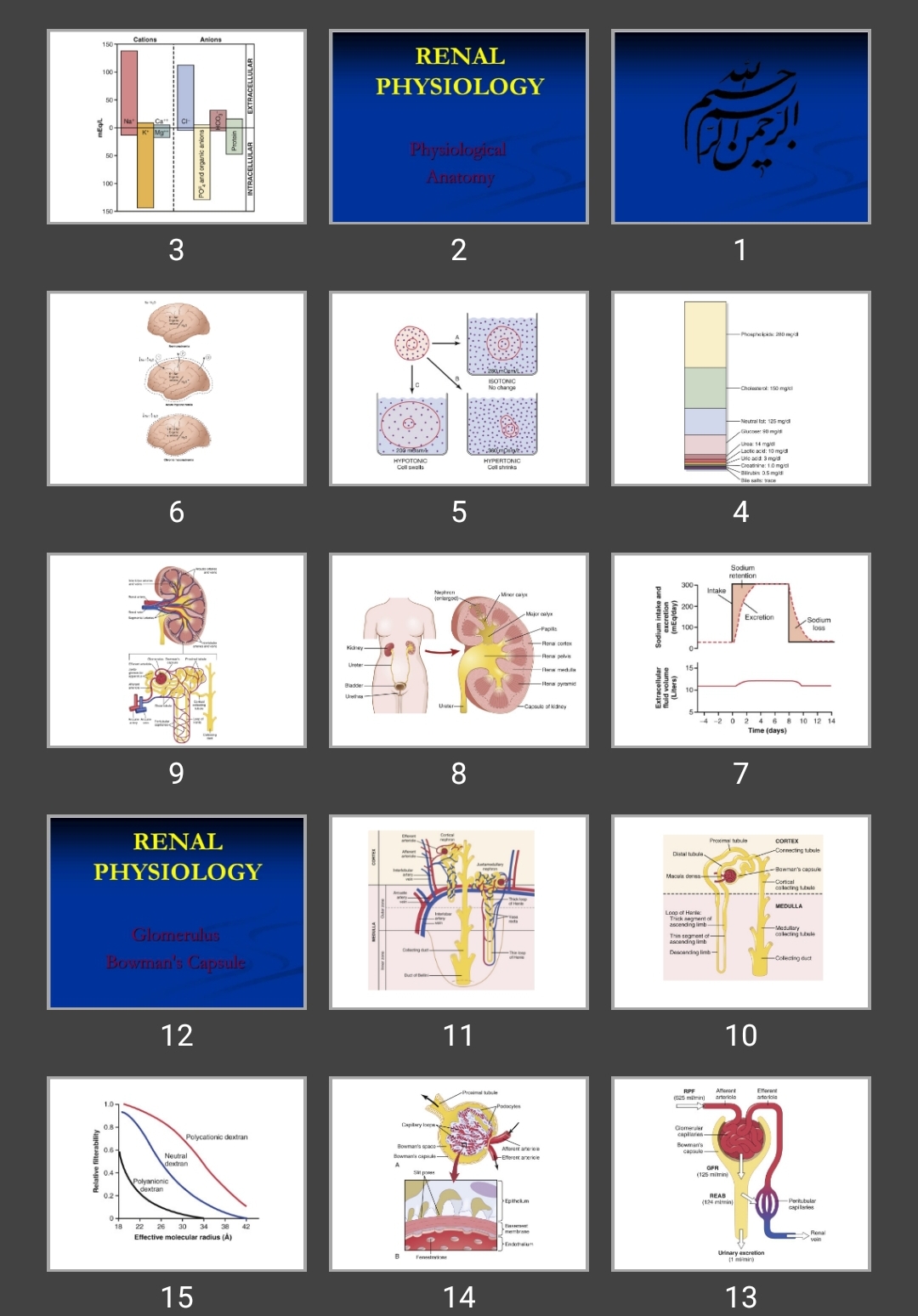 پاورپوینت RENAL Physiology