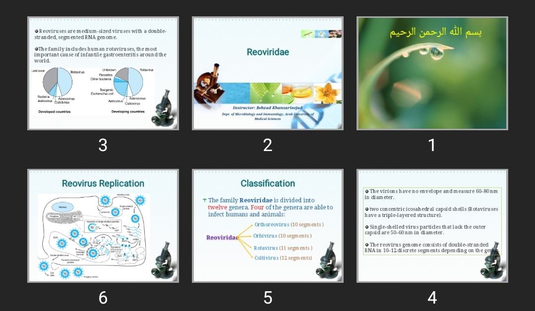 پاورپوینت Reoviridae