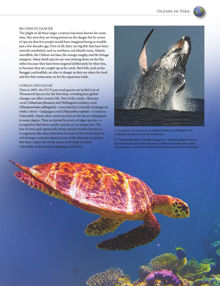 اطلس اقیانوس ها: یک دنیای مخفی شگفت انگیز (دیجیتال انگلیسی)