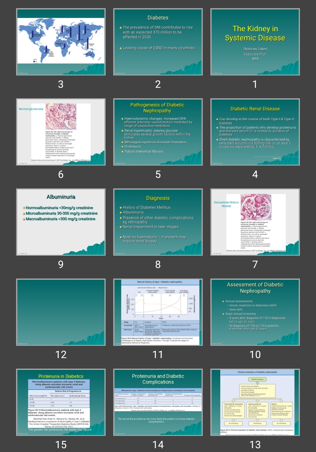 پاورپوینت The Kidney in Systemic Disease