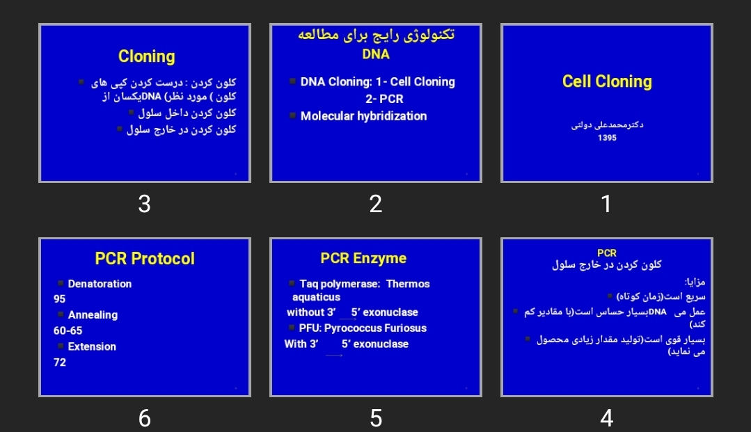 پاورپوینت Cell Cloning