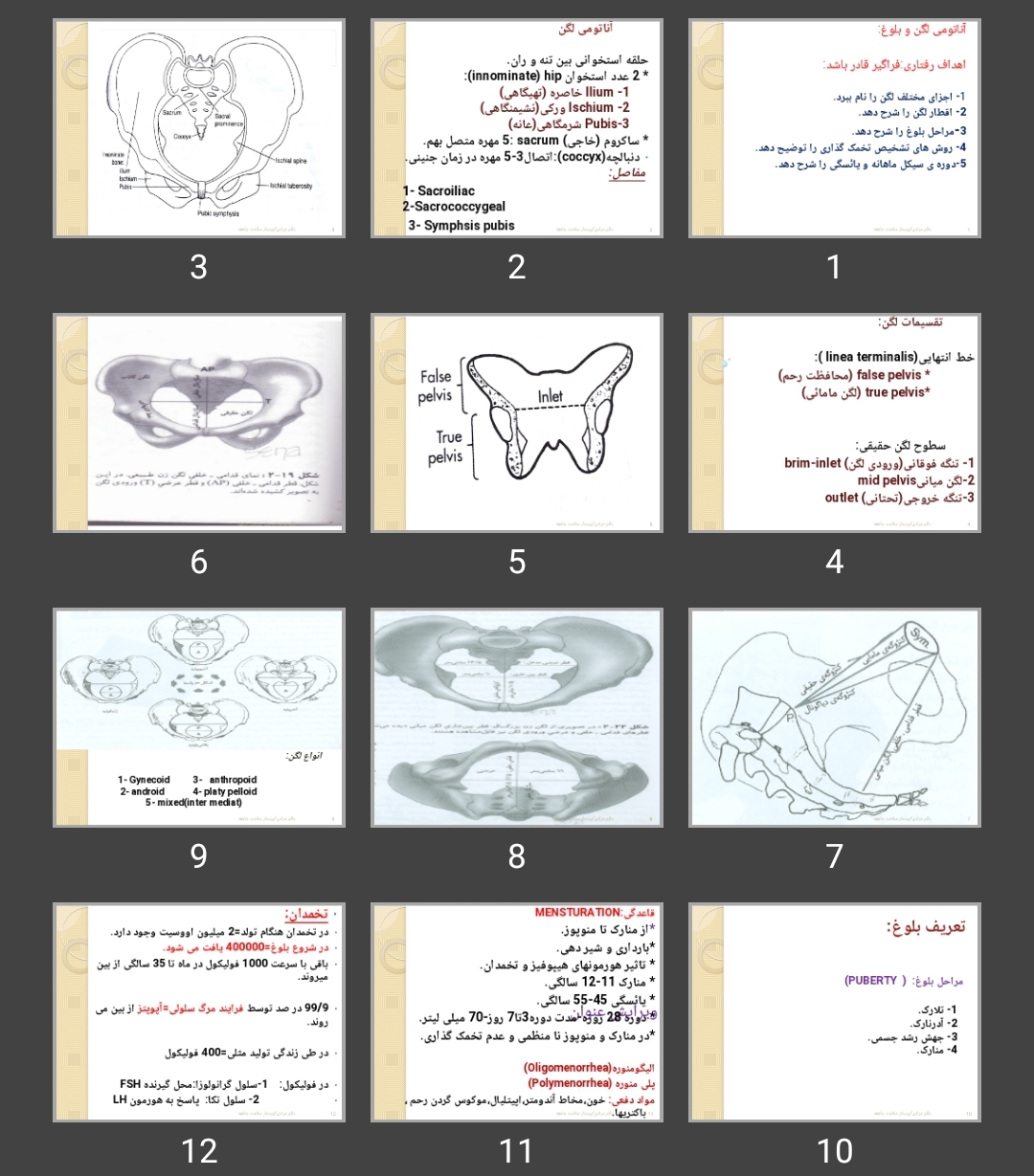 پاورپوینت آناتومی لگن و بلوغ