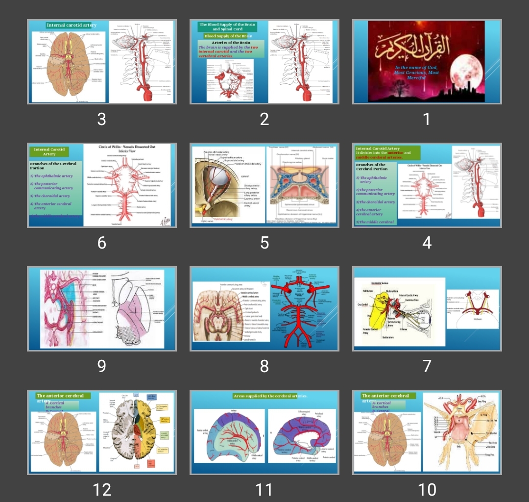 پاورپوینت The Blood Supply of the Brain and Spinal Cord