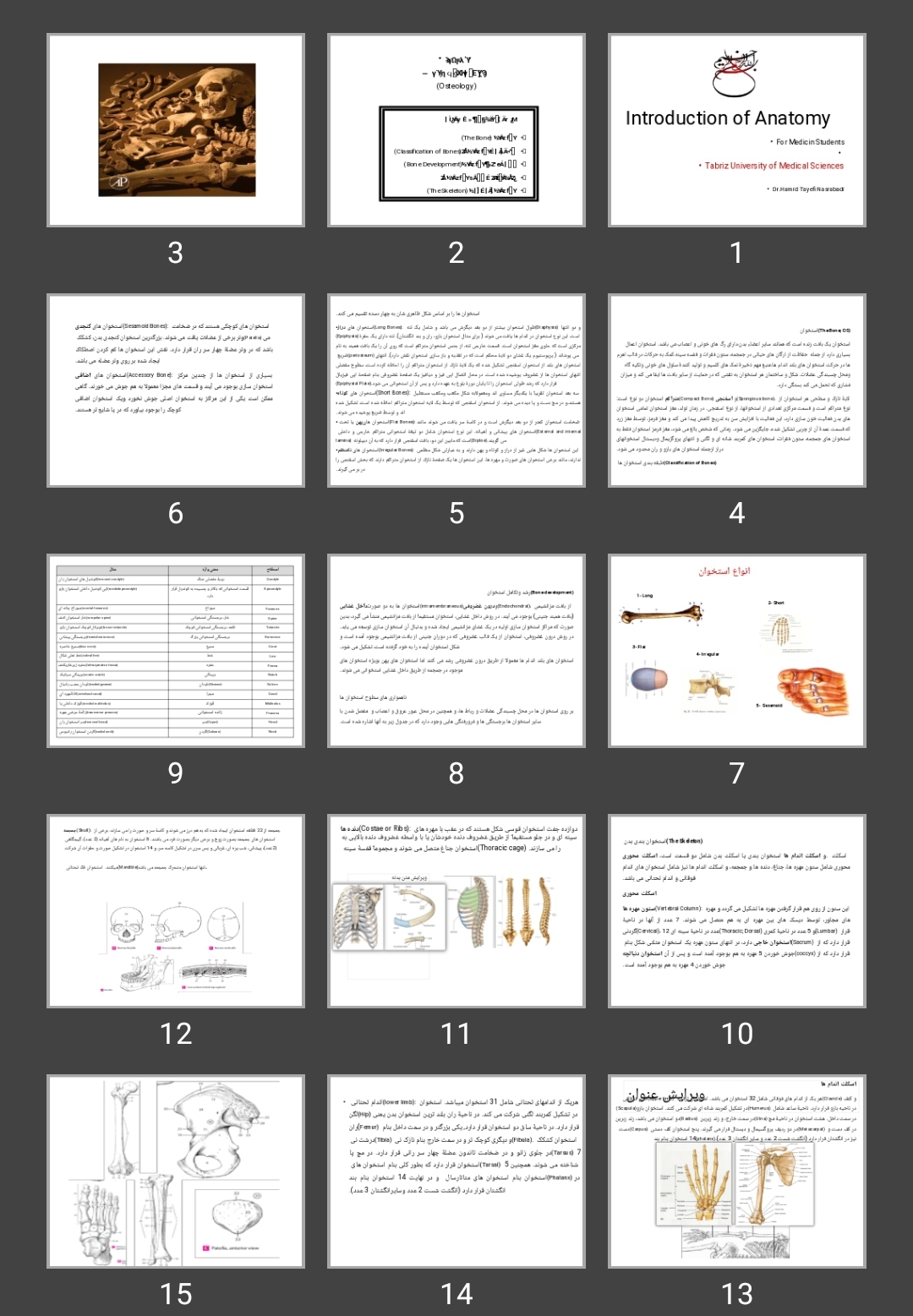 پاورپوینت Introduction of Anatomy