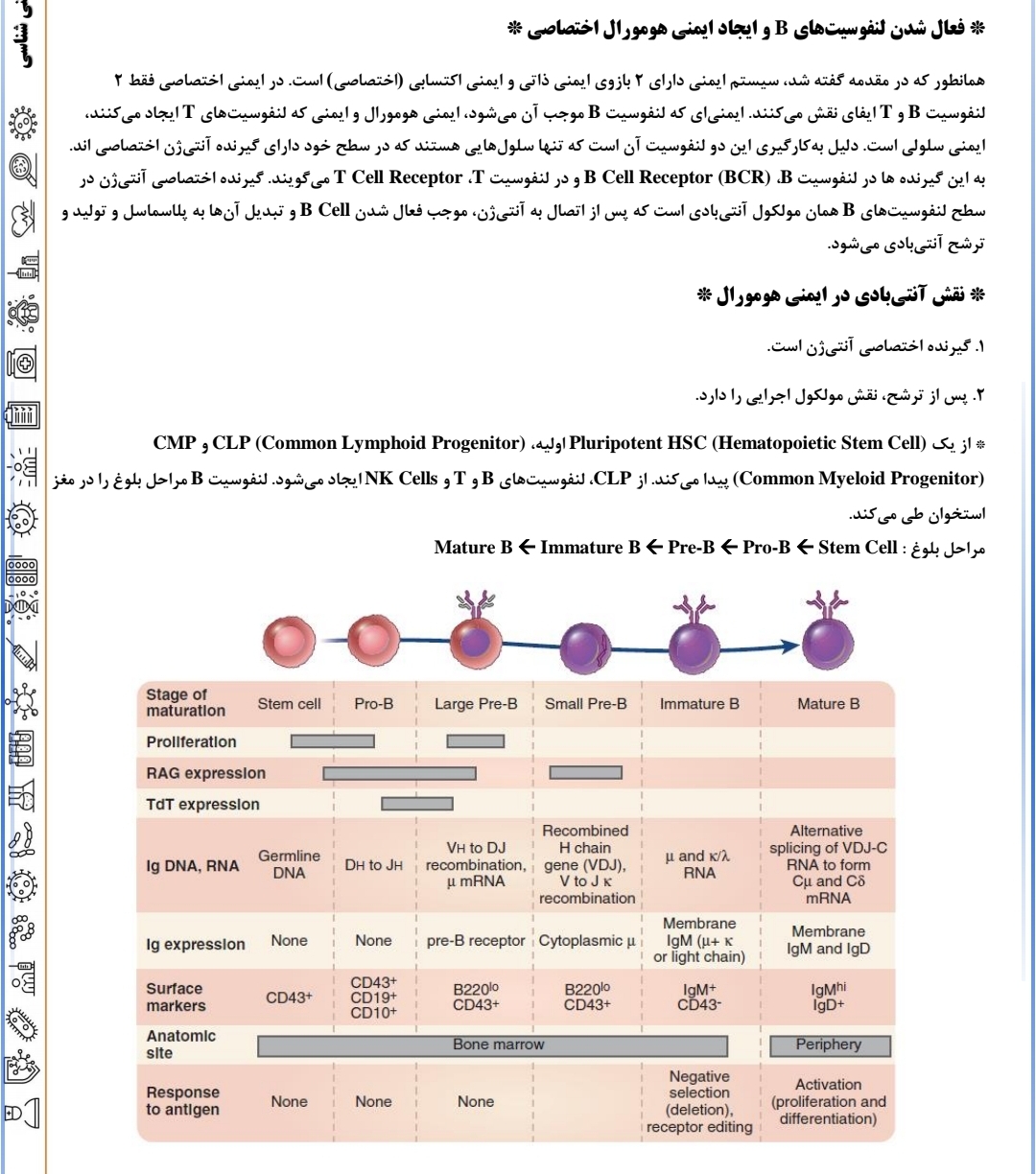 جزوه ایمنی هومورال