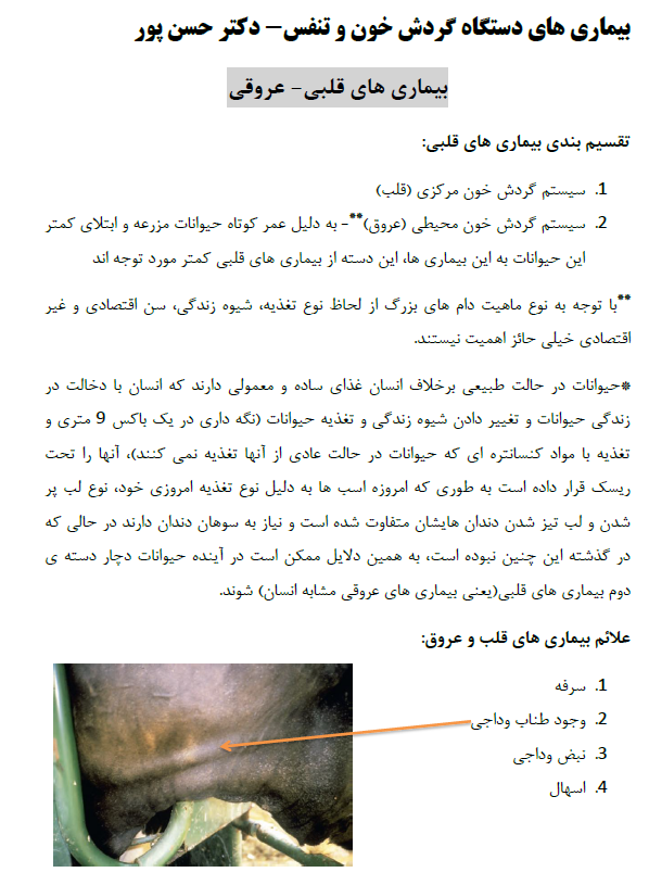 بیماری های داخلی دام بزرگ 2 - PDF