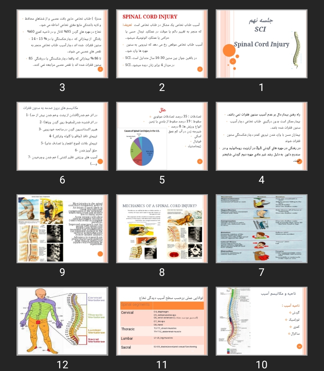 پاورپوینت Spinal Cord Injury SCI