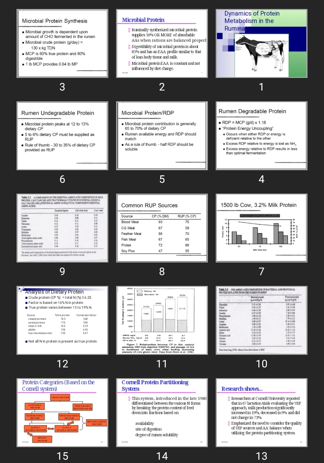 پاورپوینت Dynamics of Protein Metabolism in the Ruminant