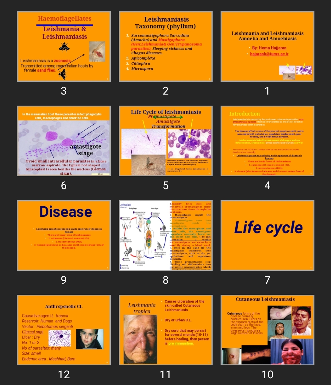 پاورپوینت Leishmania and Leishmaniasis Amoeba and Amoebiasis