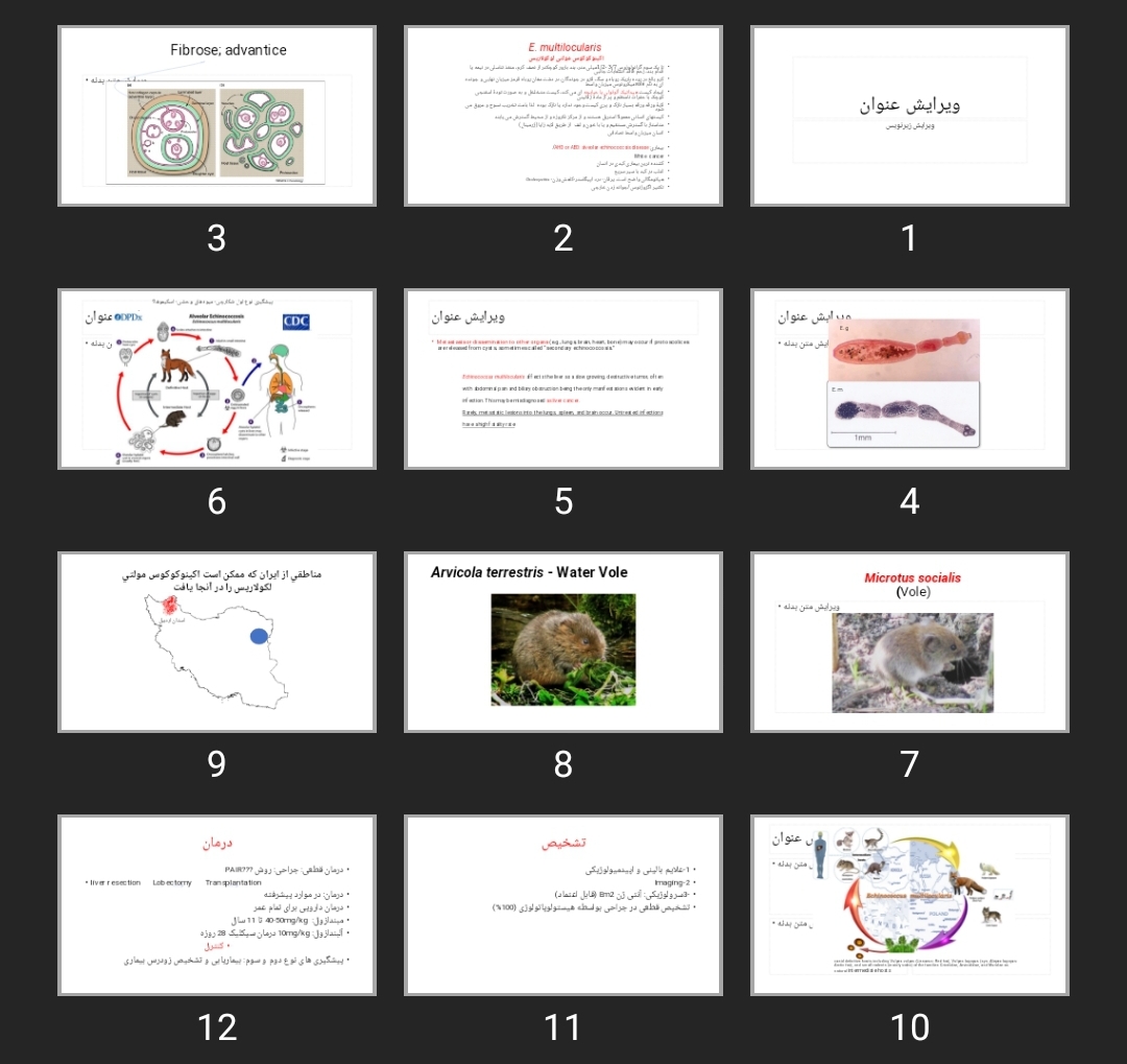 پاورپوینت Cestoda