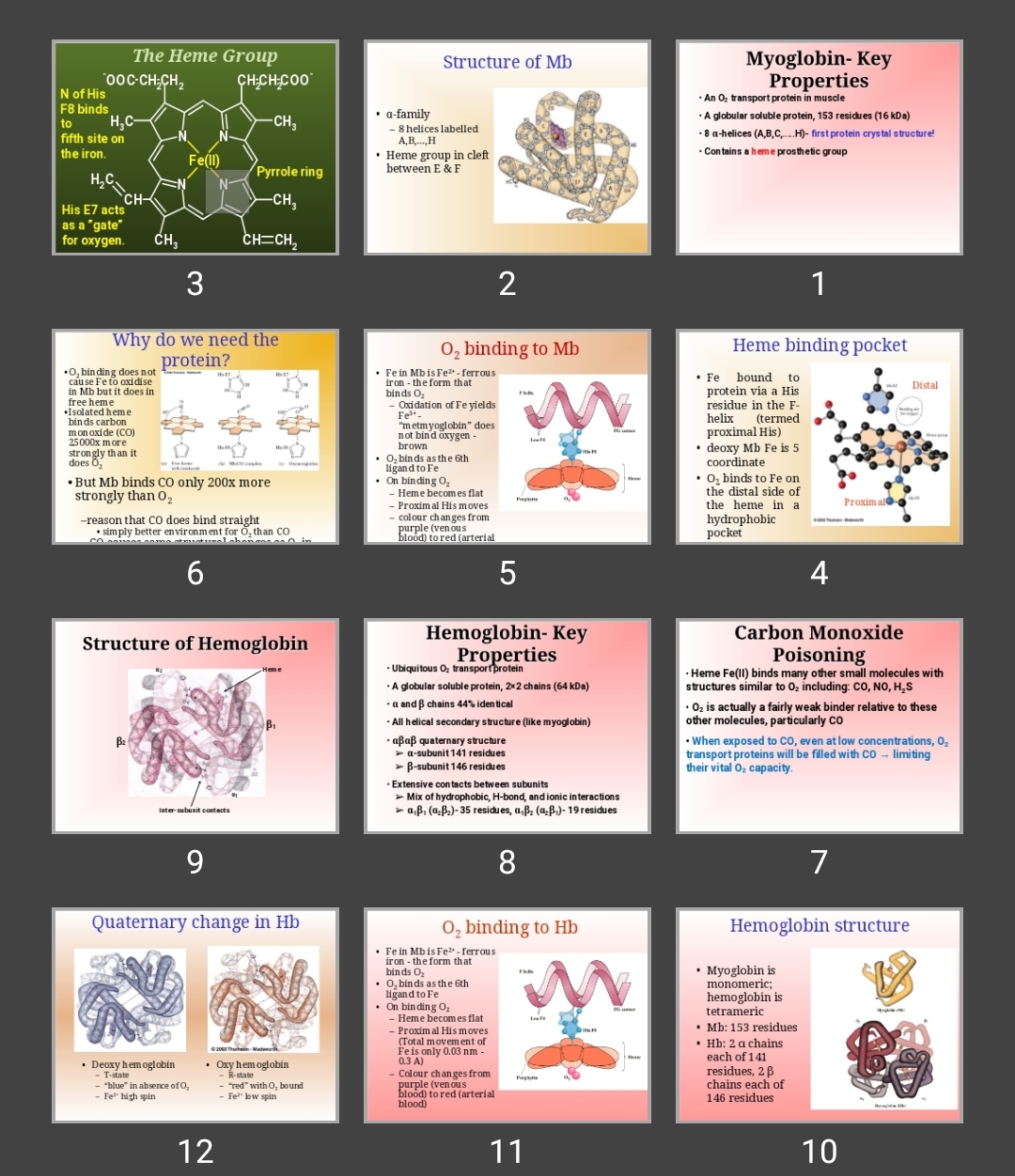 پاورپوینت myoglobin & hemoglobin