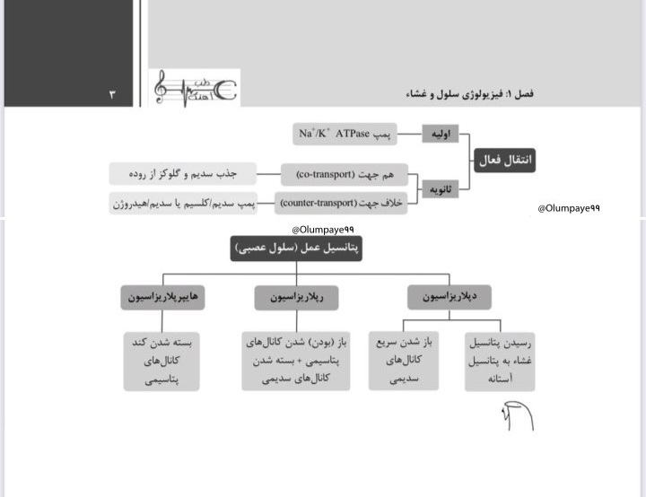 جمع بندی فیزیولوژی پزشکی - ۲۷ صفحه