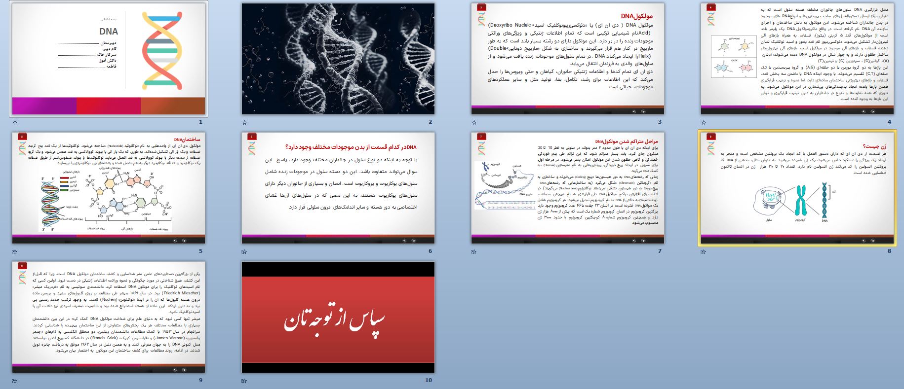 دانلود پاورپوینت DNA در 10 اسلاید خودکار