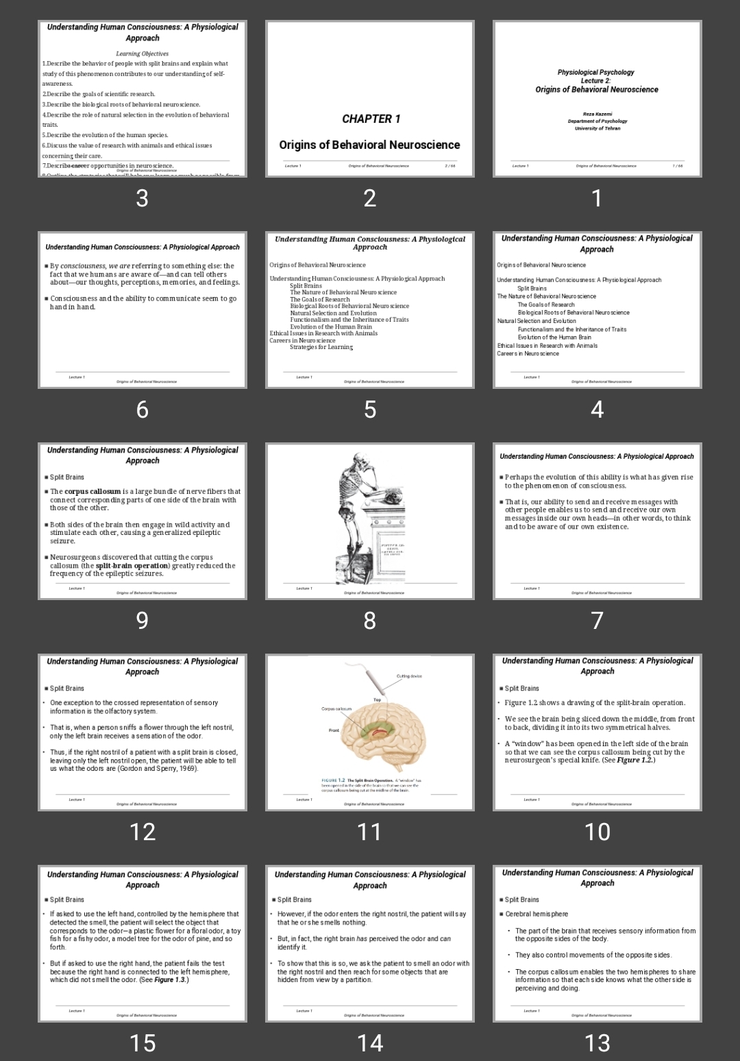 پاورپوینت Origins of Behavioral Neuroscience