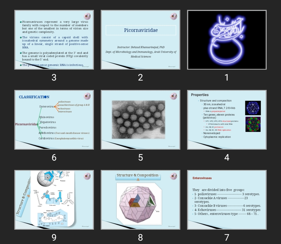 پاورپوینت Picornaviridae