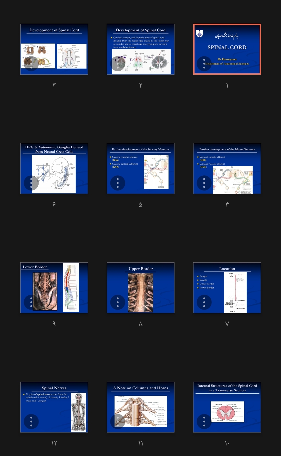جزوه SPINAL CORD