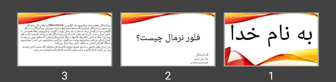 پاورپوینت فلور نرمال