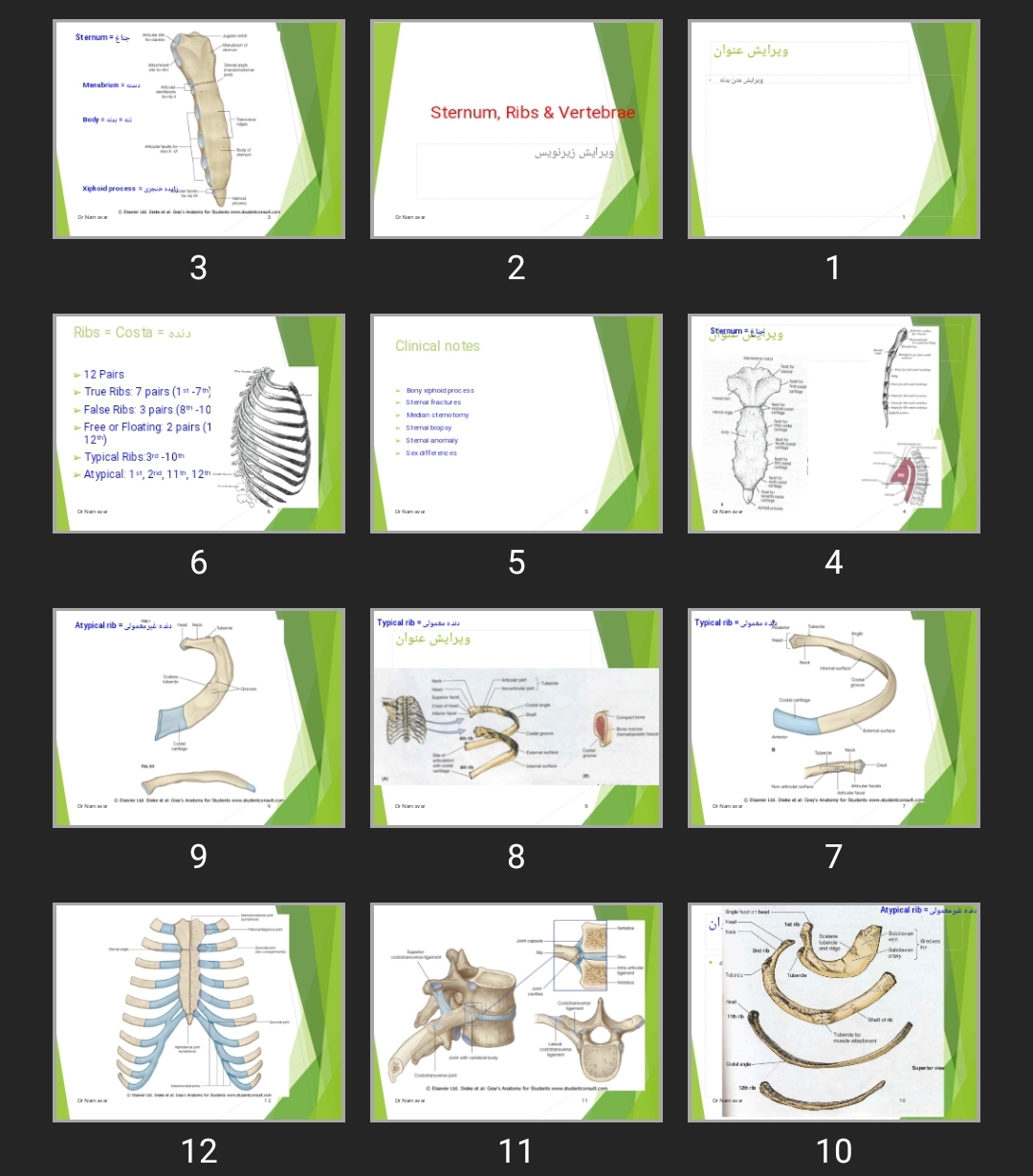 پاورپوینت Sternum, Ribs & Vertebrae