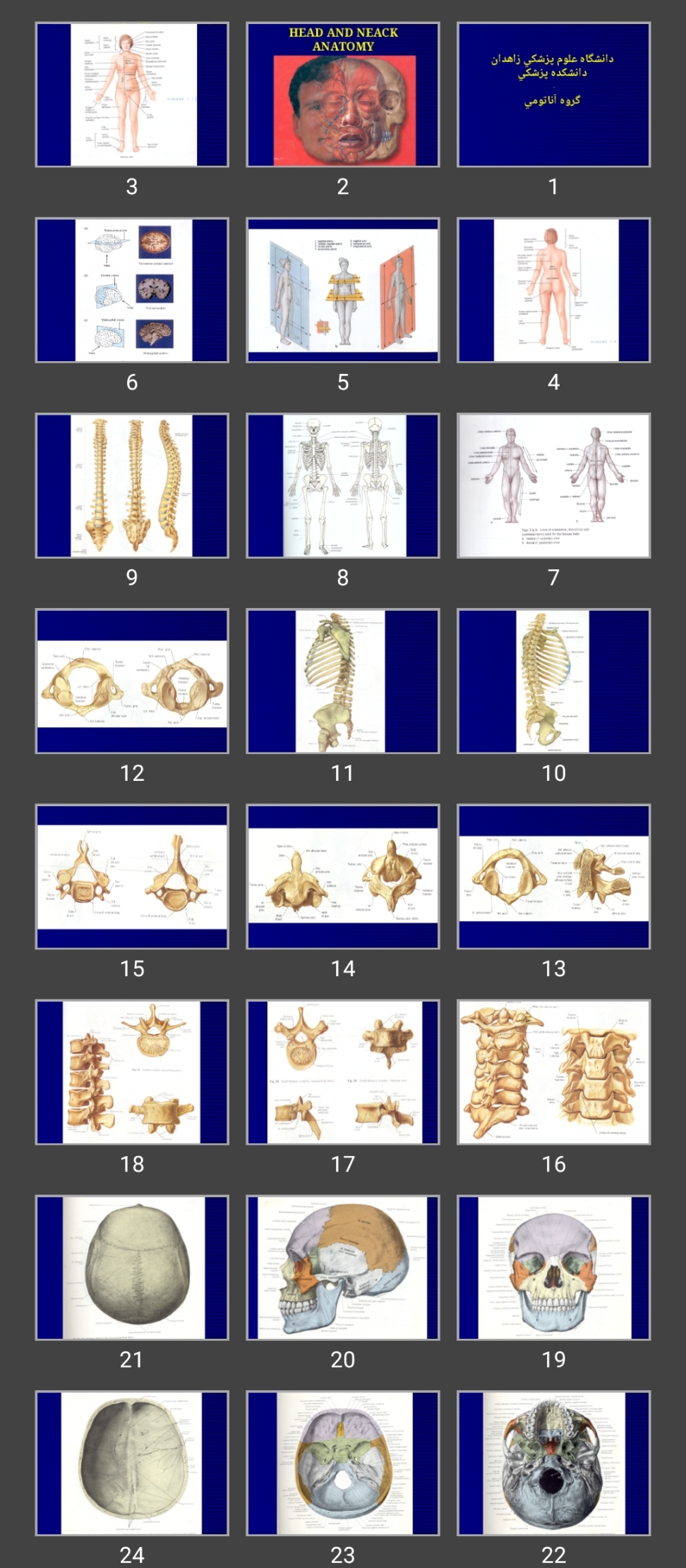 پاورپوینت HEAD AND NEACK ANATOMY