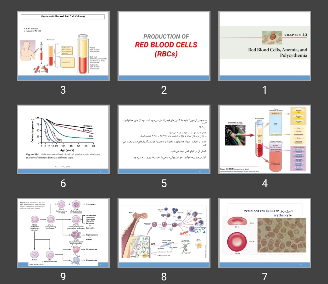 پاورپوینت PRODUCTION OF RED BLOOD CELLS (RBCs)