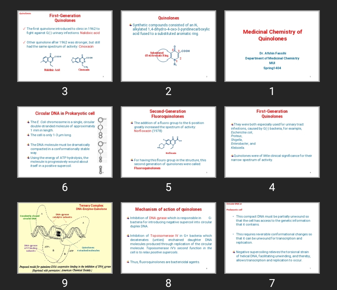 پاورپوینت Medicinal Chemistry of Quinolones