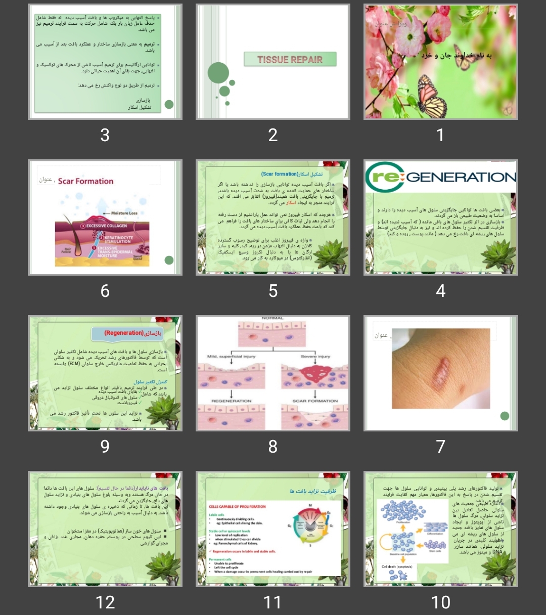 پاورپوینت ترمیم در پی آماس TISSUE REPAIR