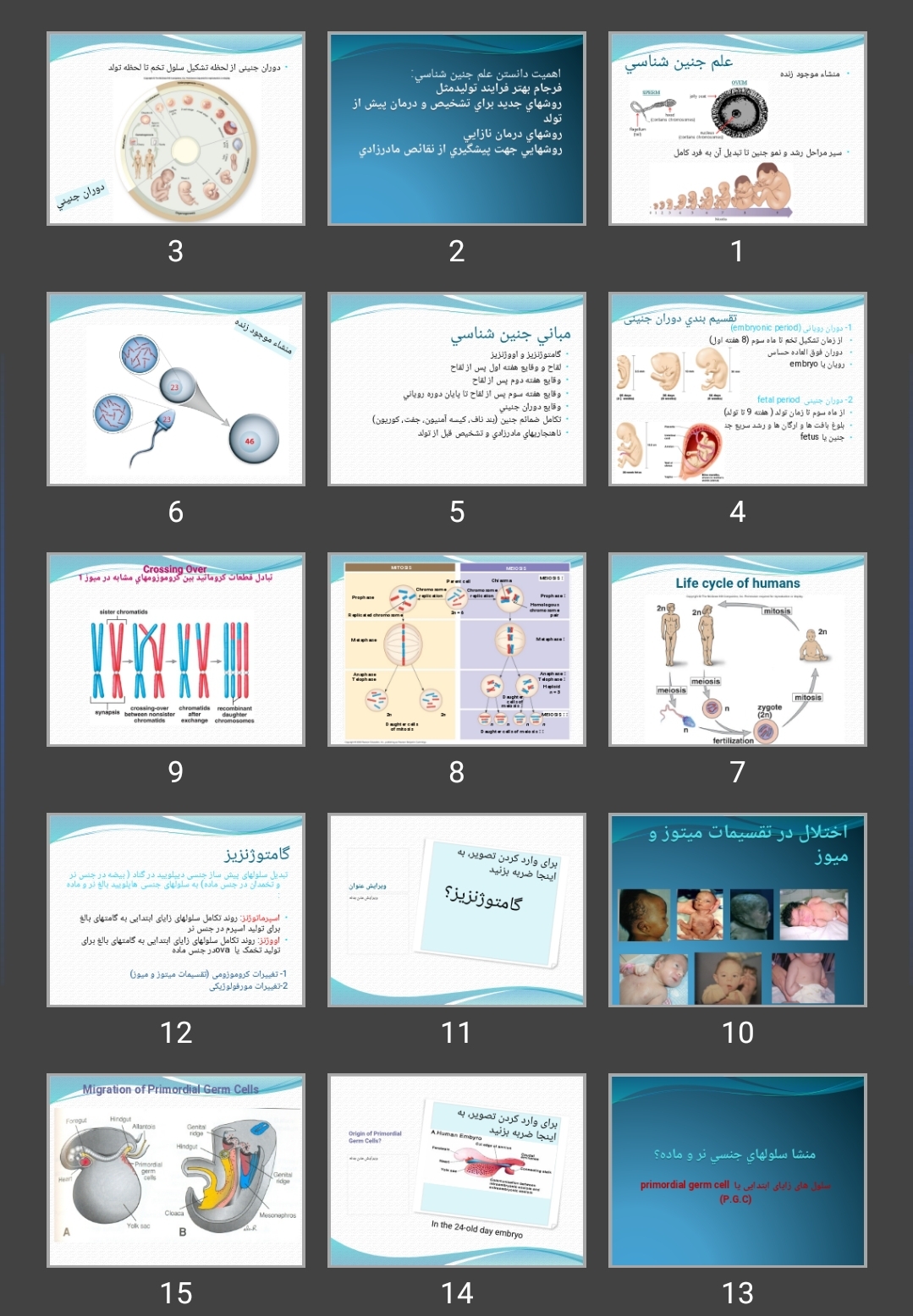 پاورپوینت علم جنين شناسی