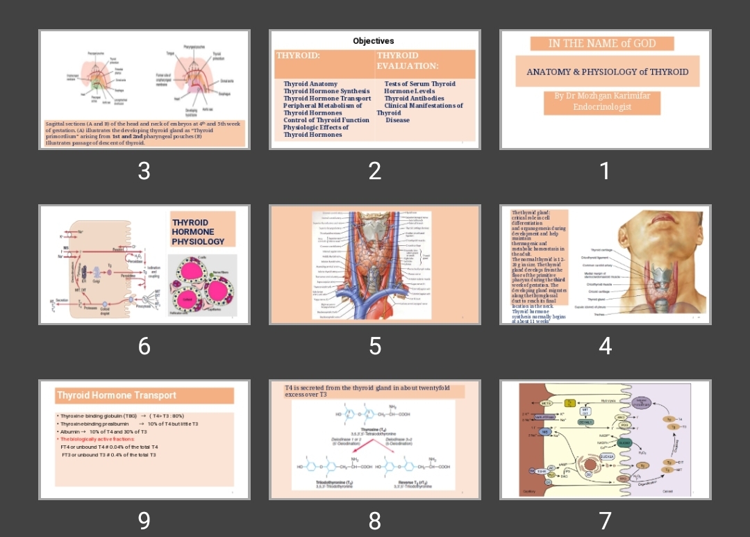 پاورپوینت آناتومی تیروئید ANATOMY & PHYSIOLOGY of THYROID