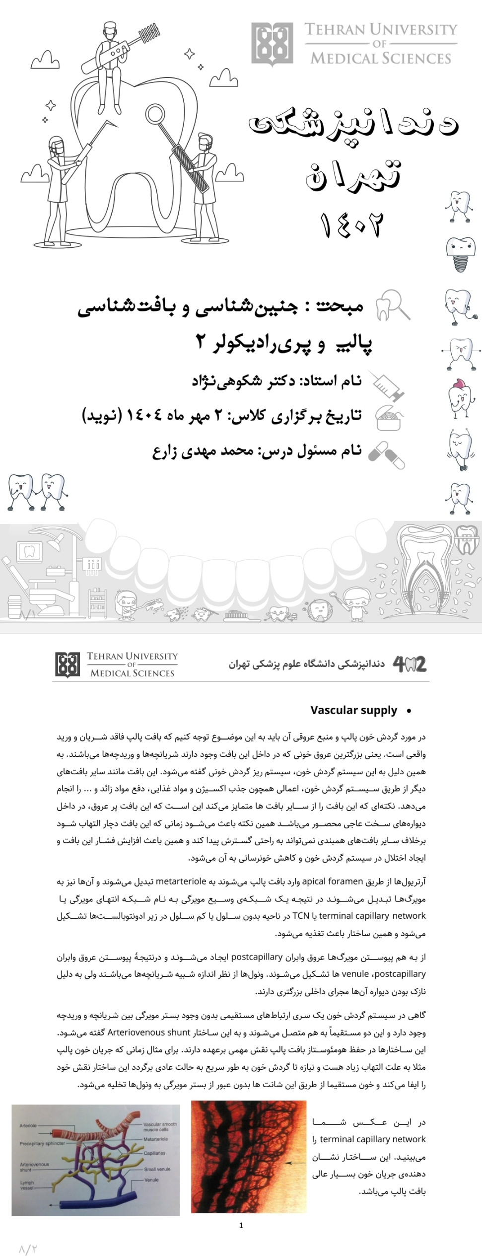 جزوه جنین‌شناسی و بافت‌شناسی پالپ و پری‌رادیکولر ۲