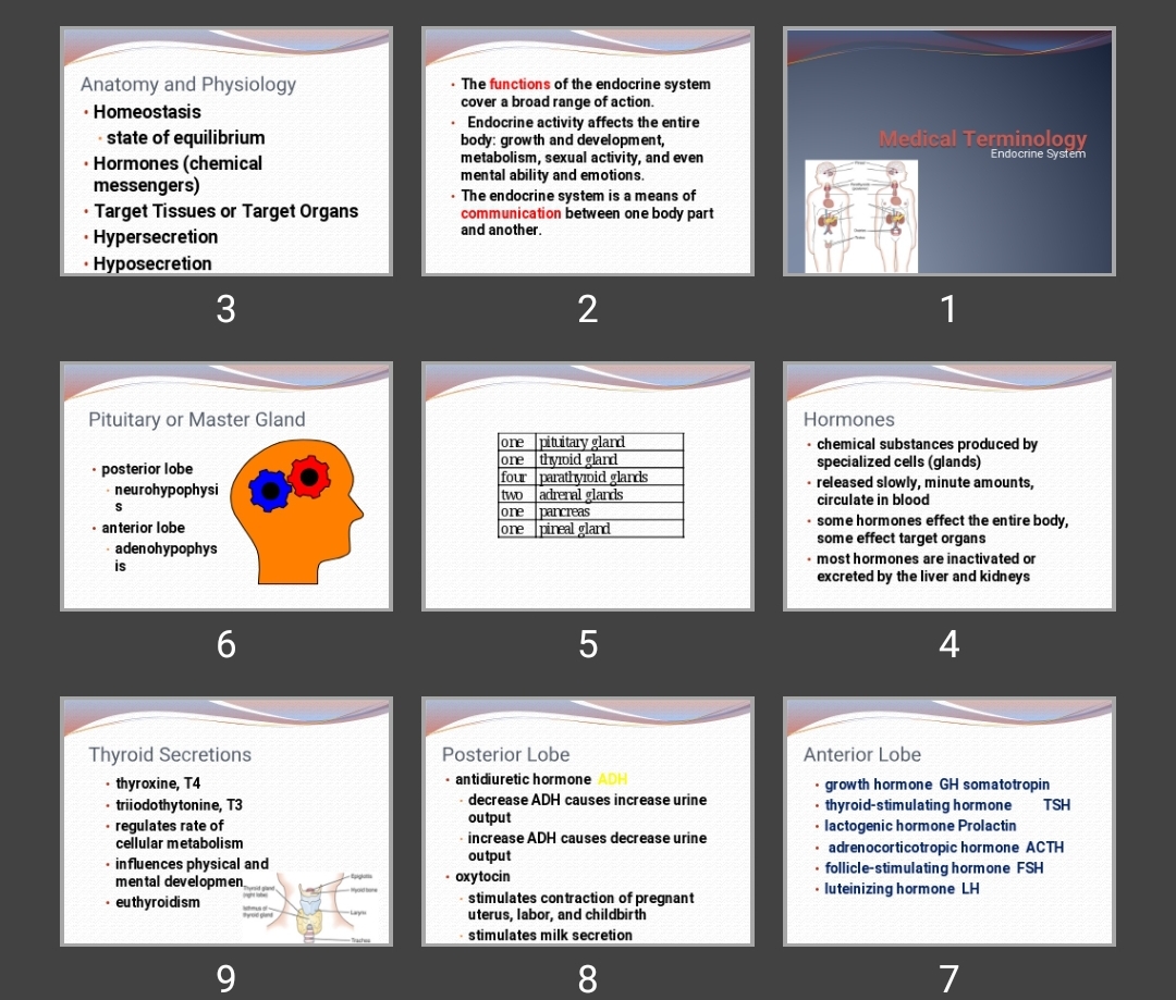 پاورپوینت Medical Terminology Endocrine System