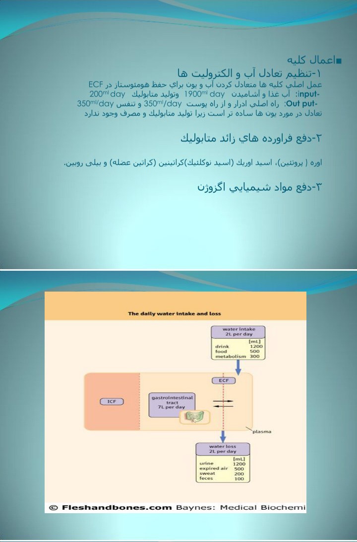 فیزیولوژی کلیه - دکتر نصیرزاده - ۸۳ صفحه